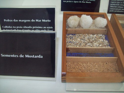 Museu da Bíblia