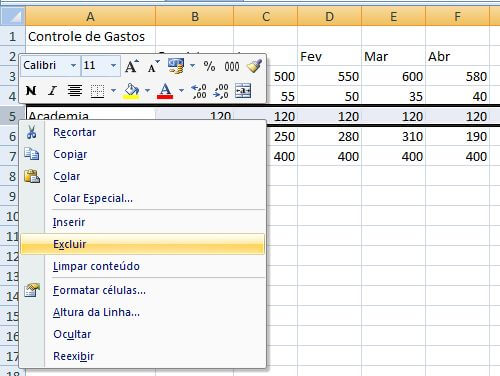 Excluir linhas e colunas no Excel